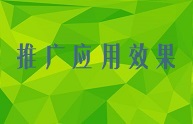 推广应用效果